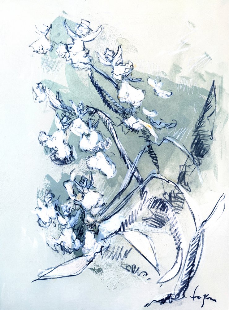 Desenho de uma orquídea branca de Dorothy Fagan