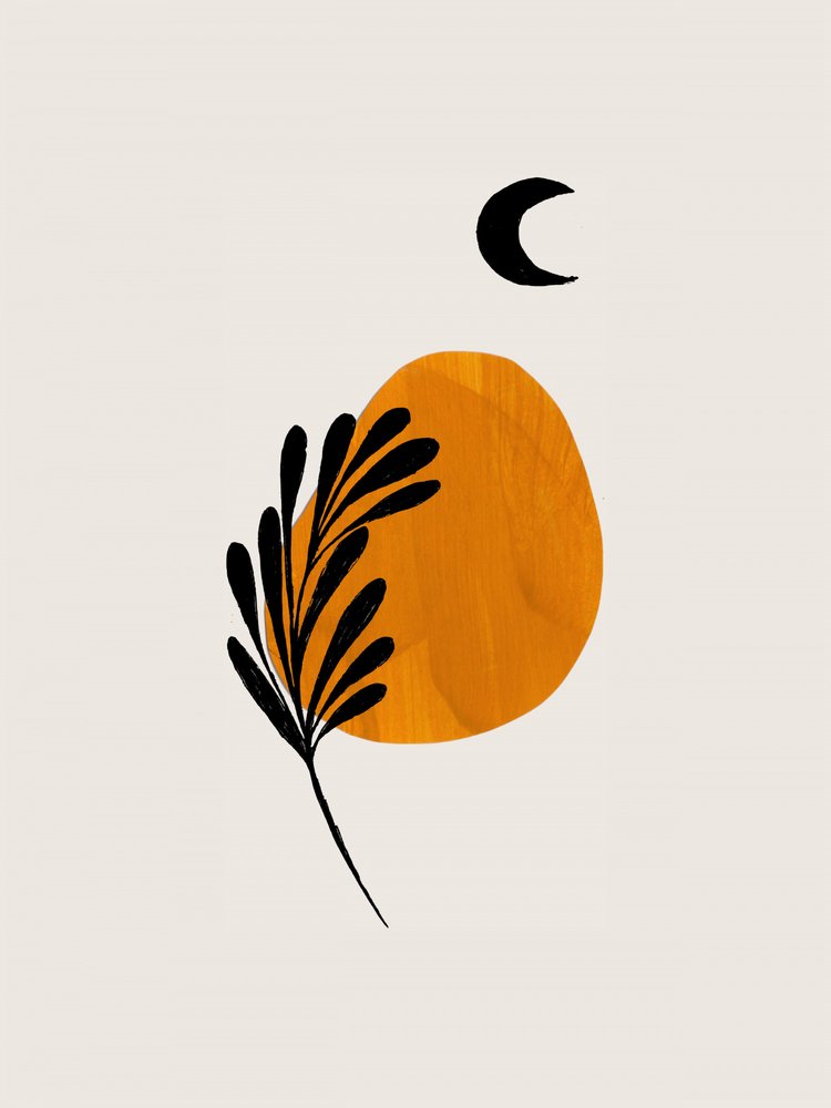  de Ejaaz Haniff
