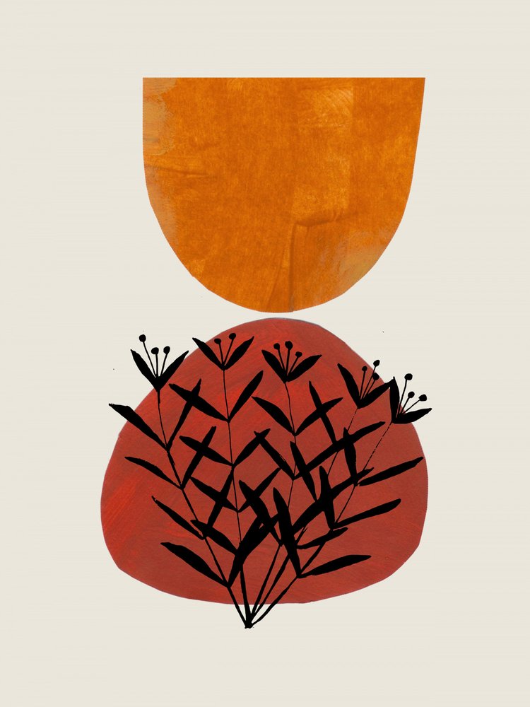  de Ejaaz Haniff