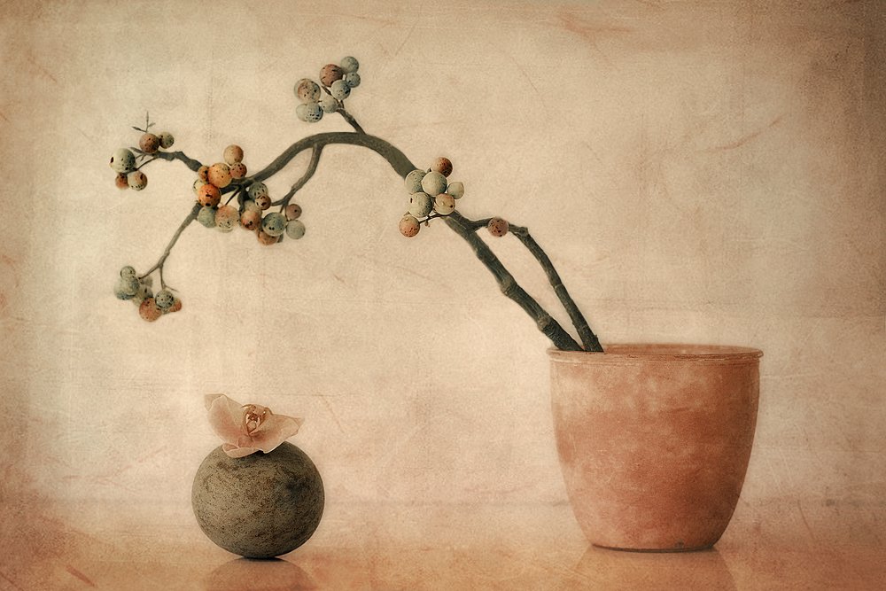 Frutos silvestres terrosos e orquídea de Elena Arjona