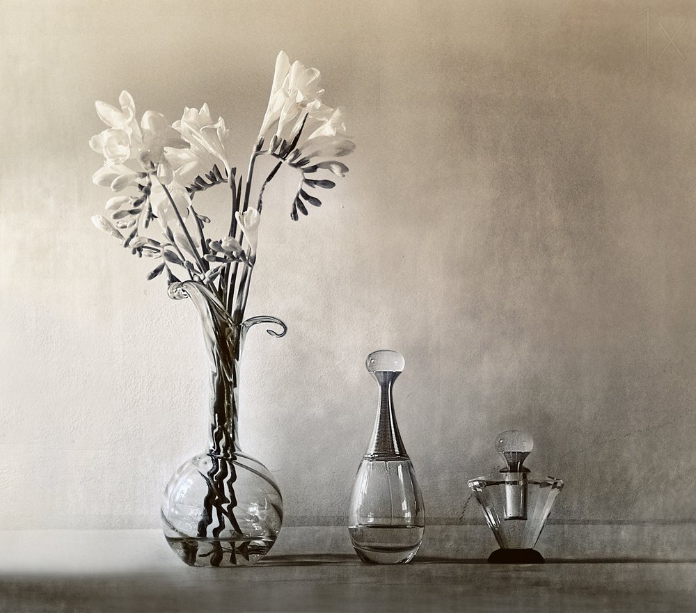 Flores Elegantes e Perfume de Elena Arjona