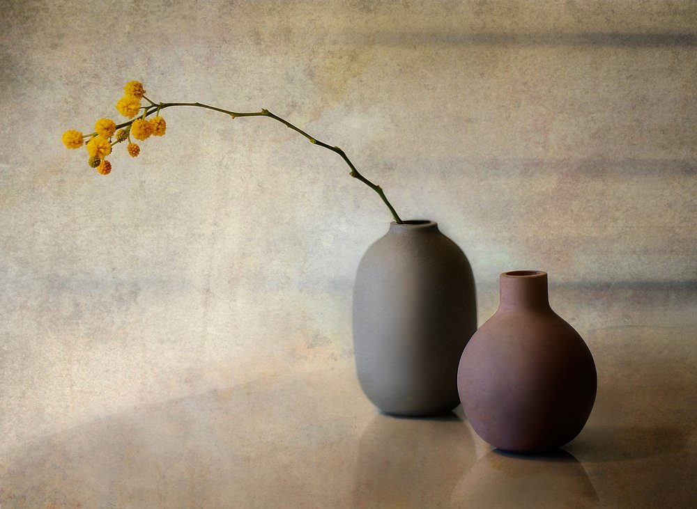 Vasos florais minimalistas de Elena Arjona