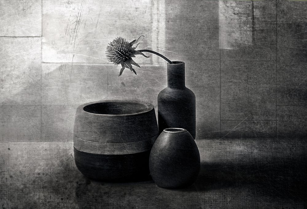 Embarcações «Moody Thistle» de Elena Arjona