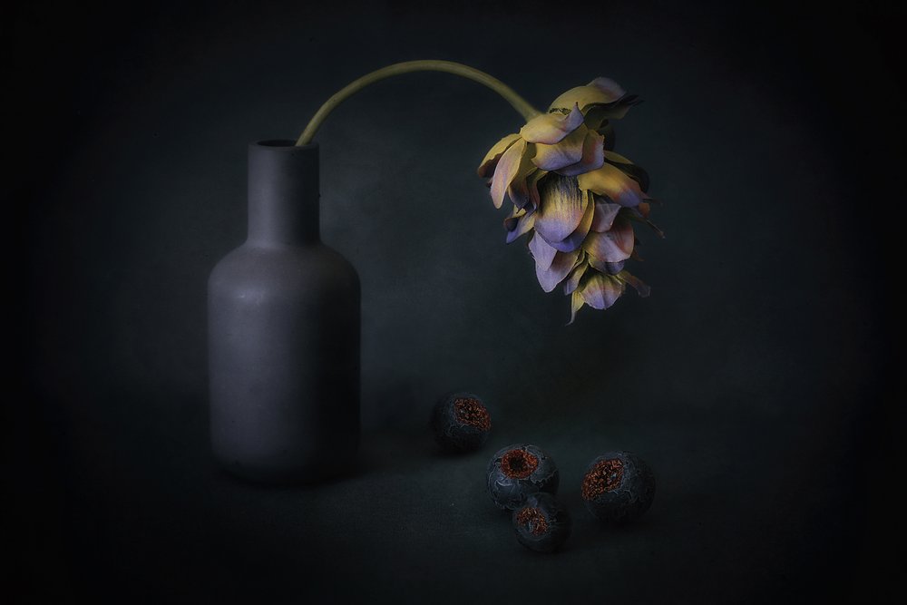 Flores e bagas à sombra de Elena Arjona