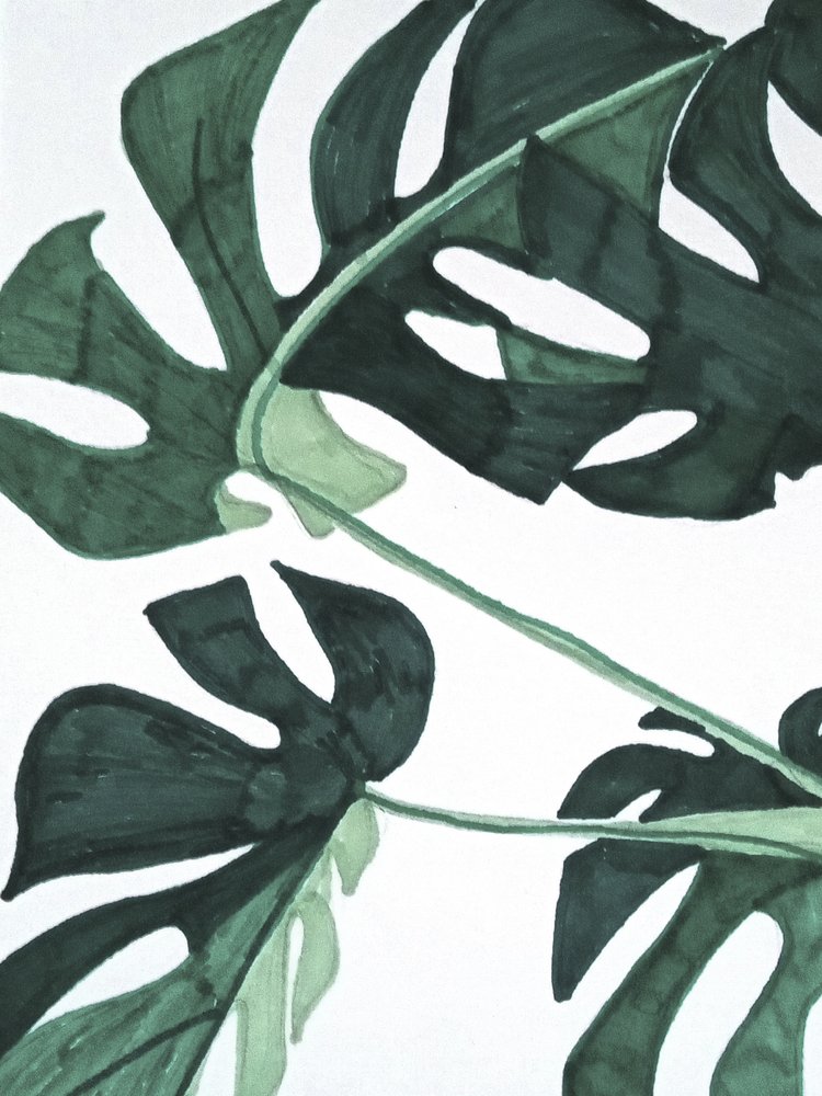 Monstera Verde Abstrata de Elizabeth C