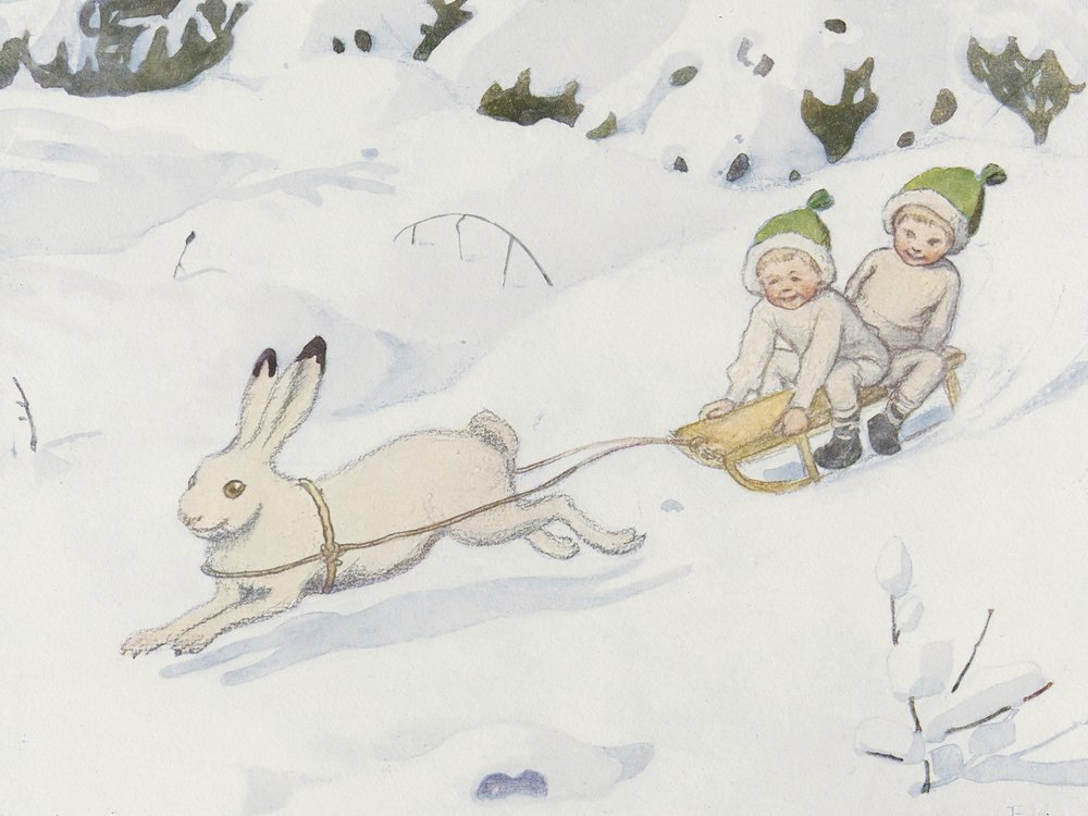A Lebre da Neve de Elsa Beskow