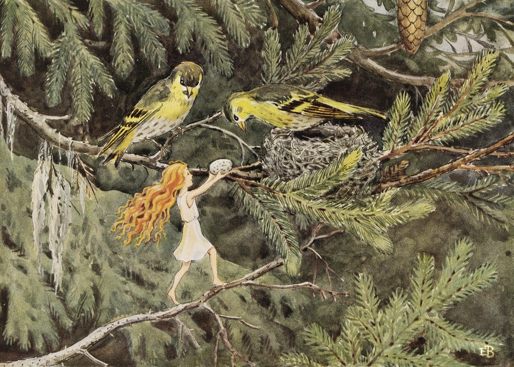 O Ovo do Sol (1932) As Aves de Elsa Beskow
