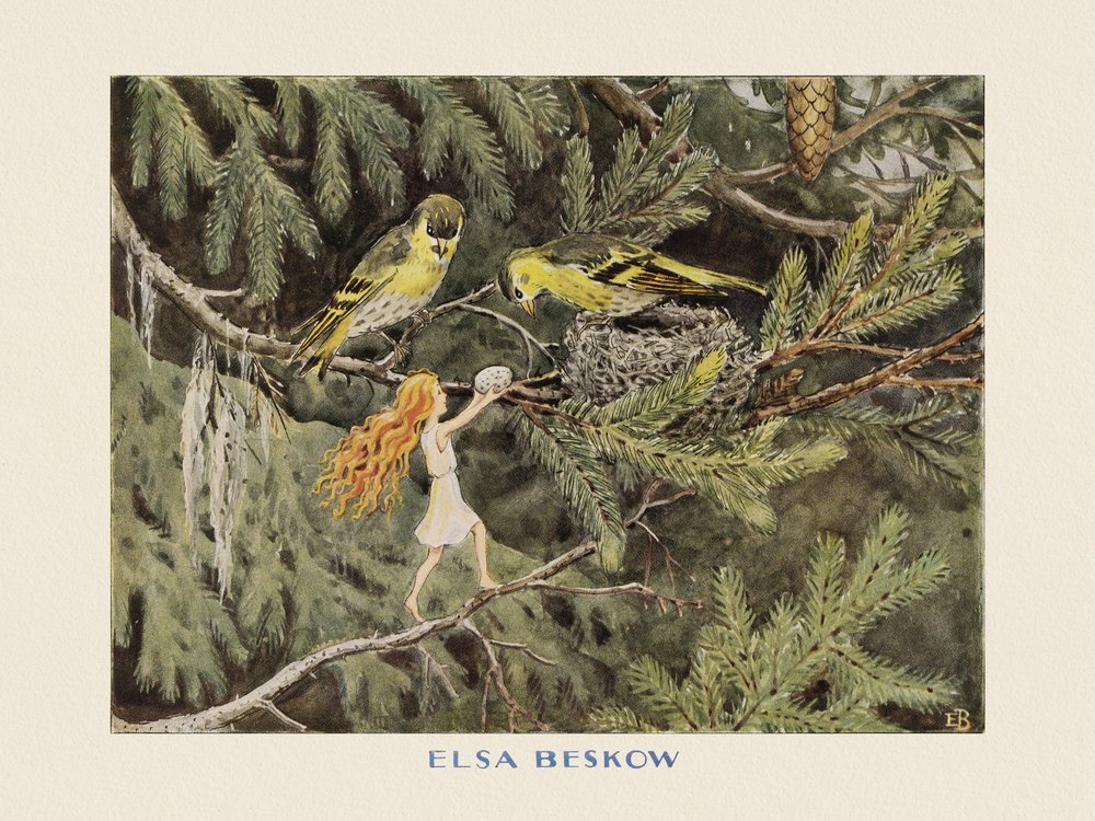 O Ovo do Sol: As Aves de Elsa Beskow
