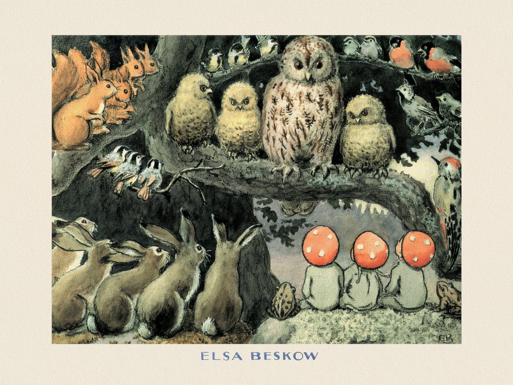 As Crianças do Papai Noel  - Os Animais da Floresta Boarder de Elsa Beskow
