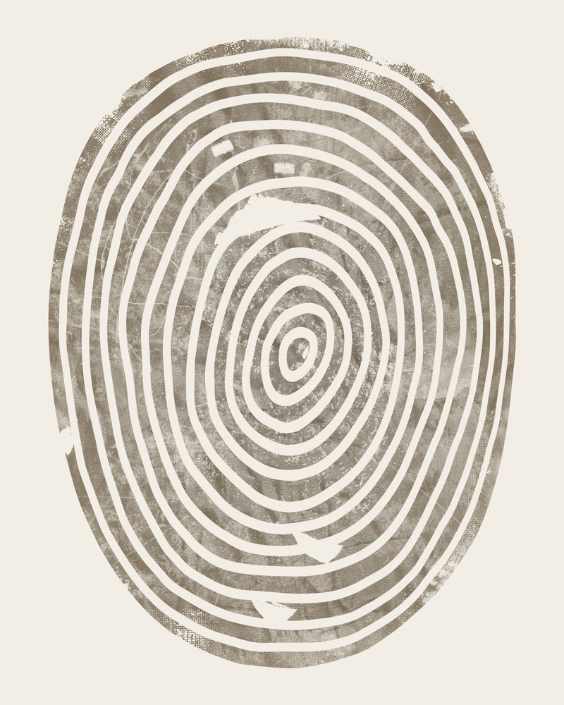 Padrão abstrato de anéis de árvore de Ema Paraschiv