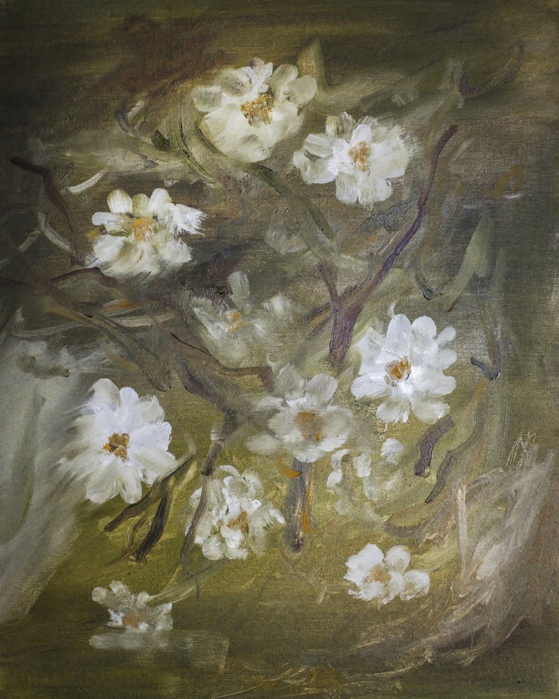 Flores brancas e delicadas de Emily Tingey