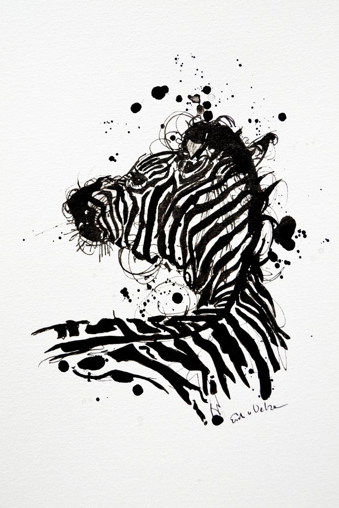 Salpicos de tinta da zebra selvagem de Erik Van Velzen