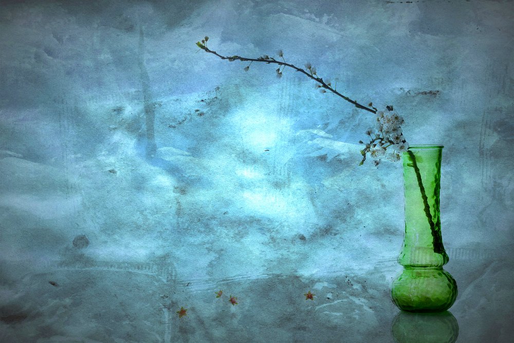Flores Azuis Serenas de Eyal Amer