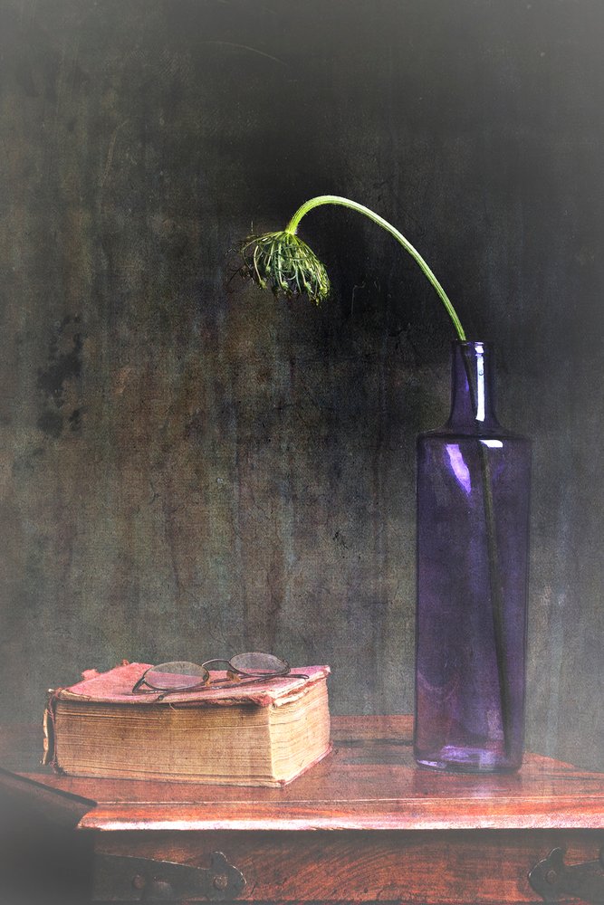 Flor Murcha e Livro de Eyal Amer