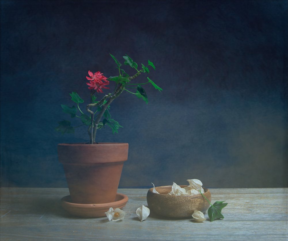 Flor em vaso «Moody» de Fangping Zhou