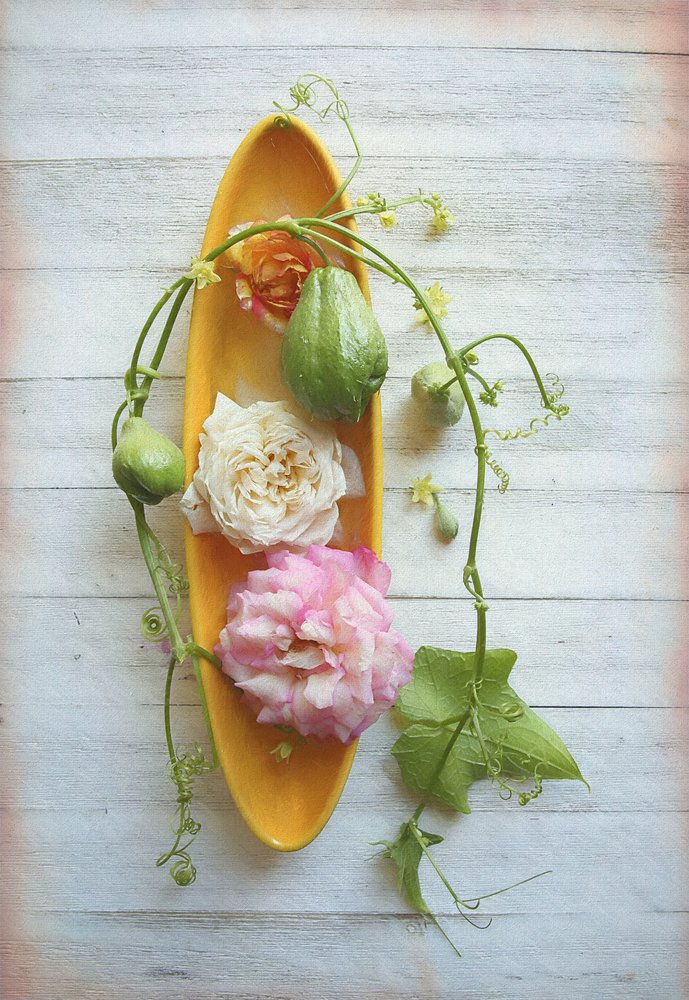 Rosa Rústica e Chayote de Fangping Zhou