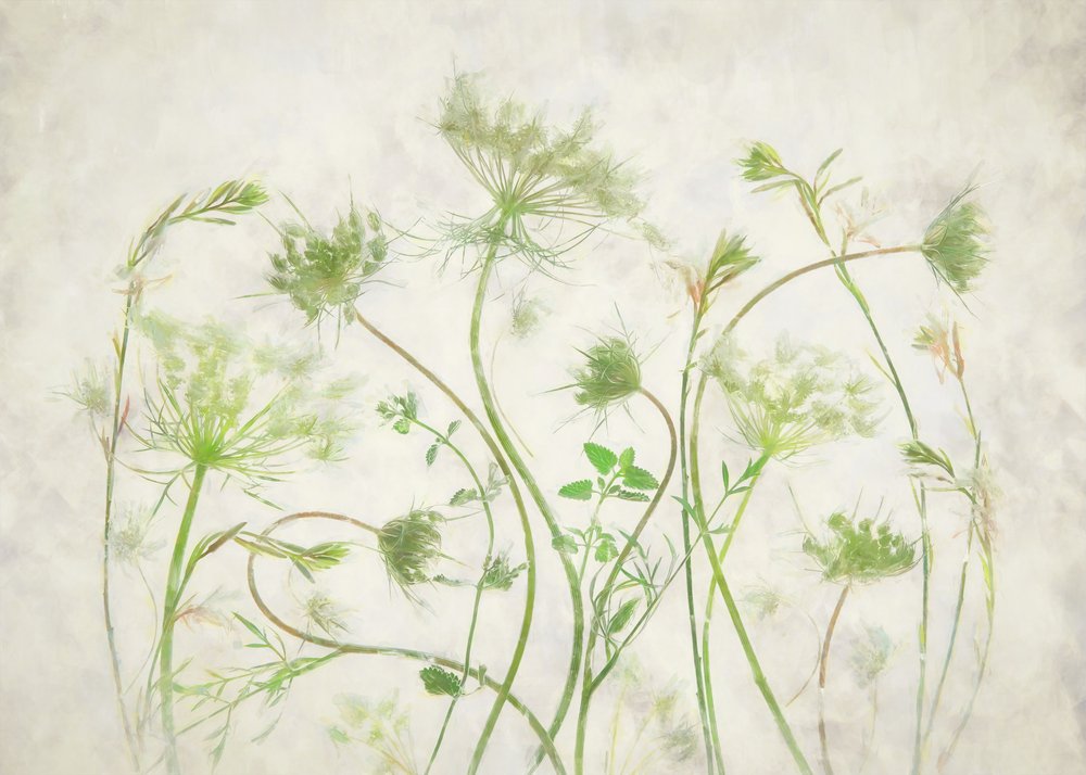 Soft Green Botanicals de Fangping Zhou