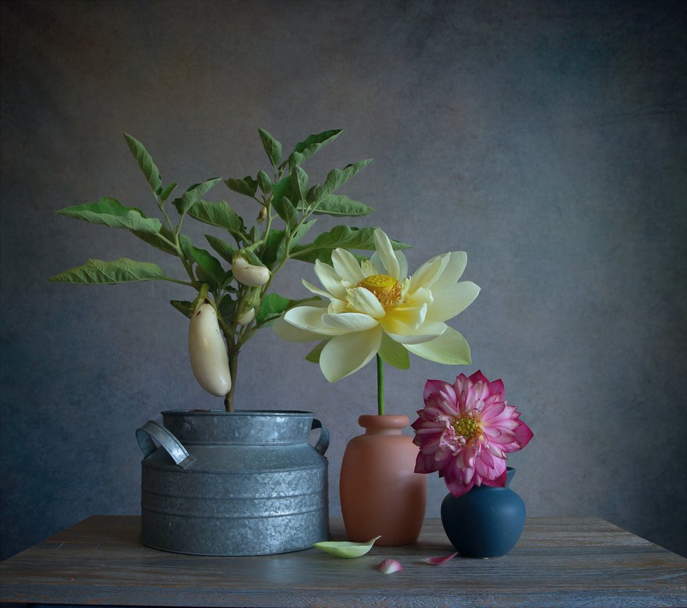 Berinjelas Brancas Dahlia Still de Fangping Zhou