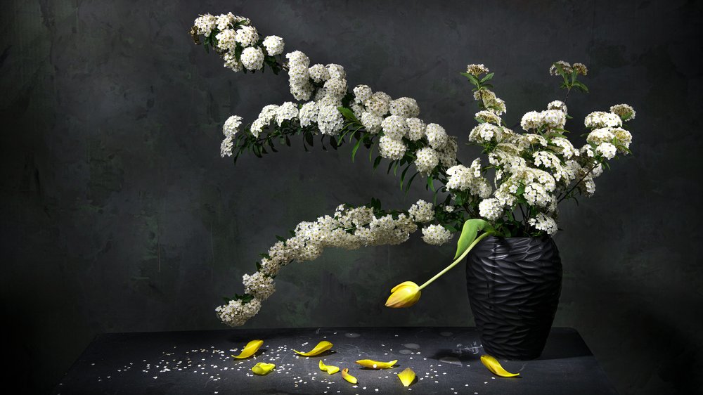 Natureza morta floral elegante de Felice Angelino
