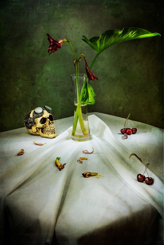 Crânio gótico Vanitas de Felice Angelino