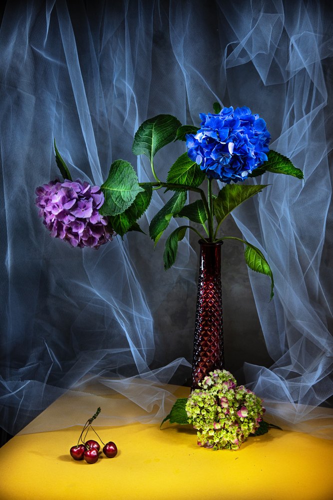  de Felice Angelino