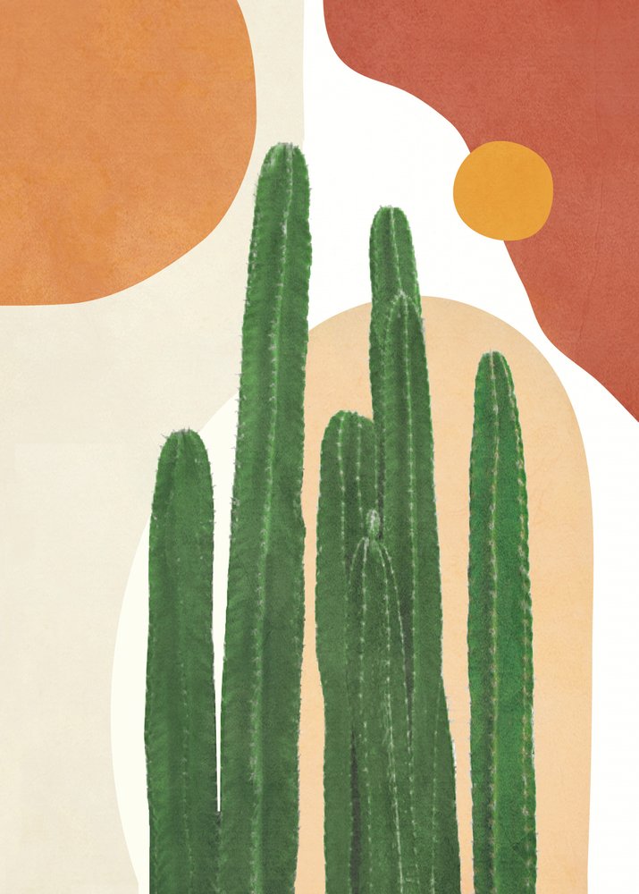 Cactos do Deserto Boho de Flow Line