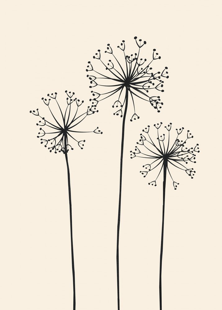 Flores de dente-de-leão minimalistas de Flow Line