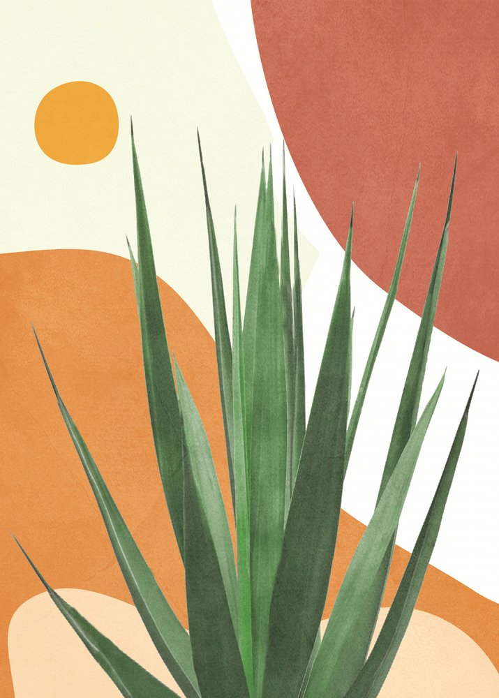 Agave do deserto moderno de Flow Line