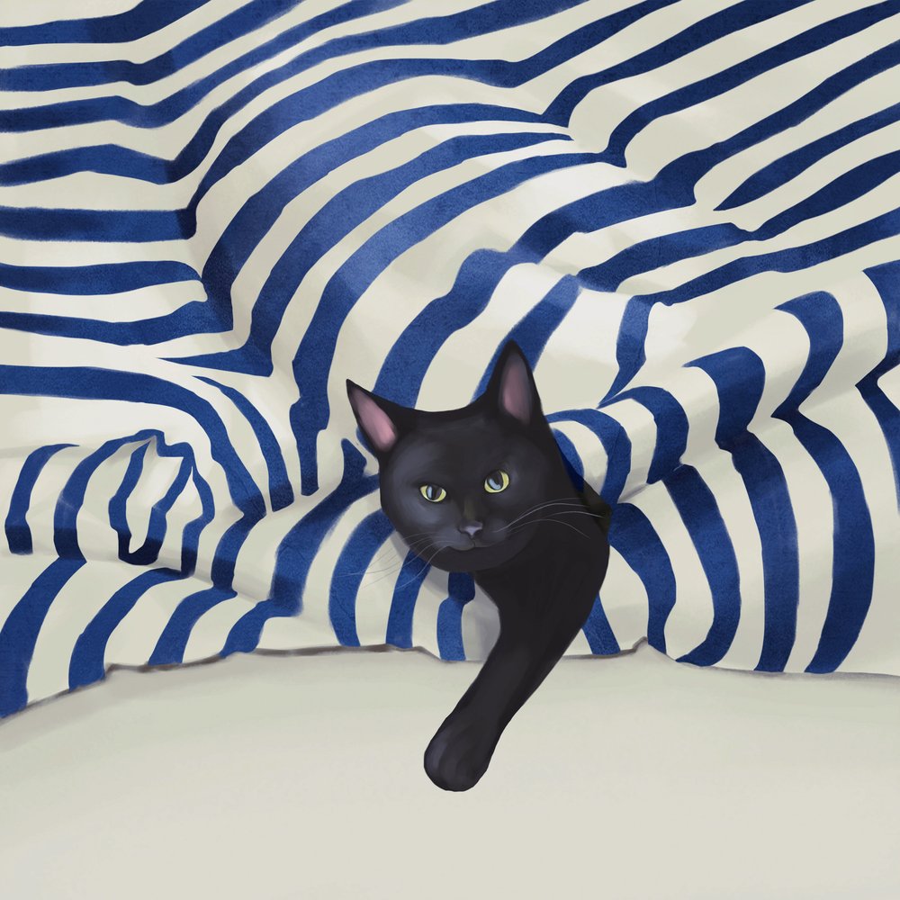 Gato preto a espreitar de Flow Line