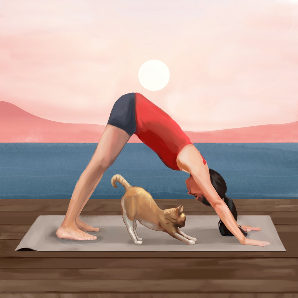 Yoga do Gato ao Nascer do Sol de Flow Line