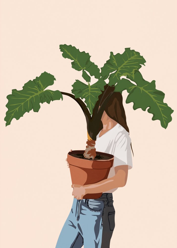 Mulher a segurar uma planta de Flow Line