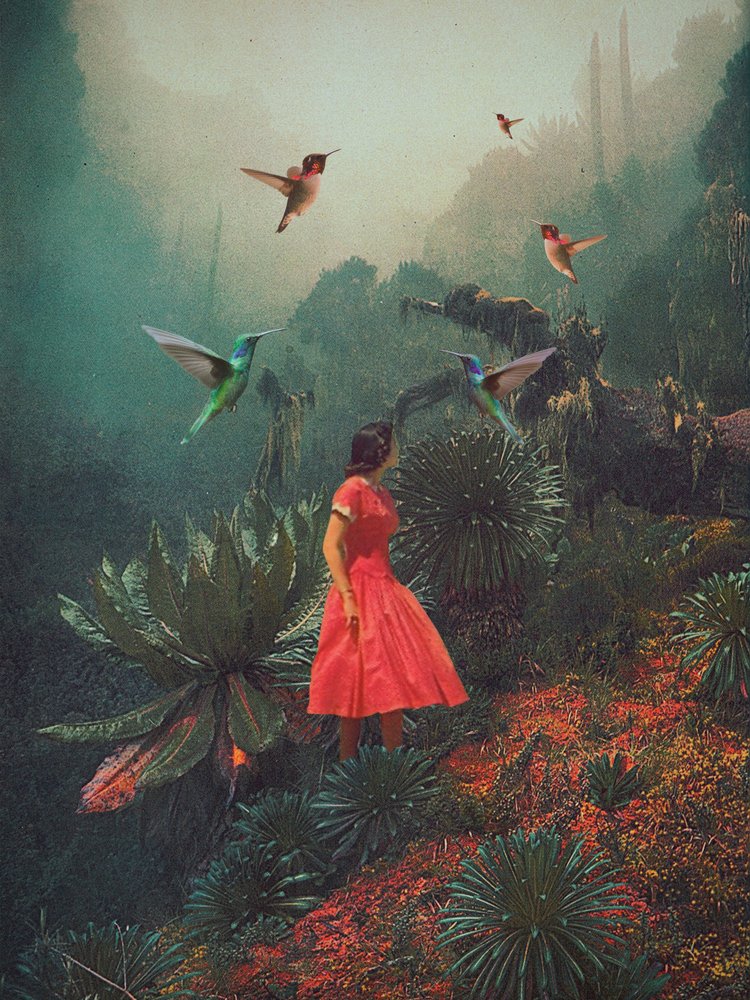  de Frank Moth