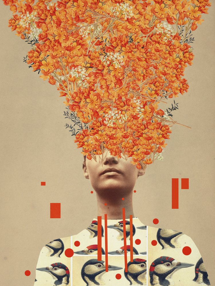  de Frank Moth