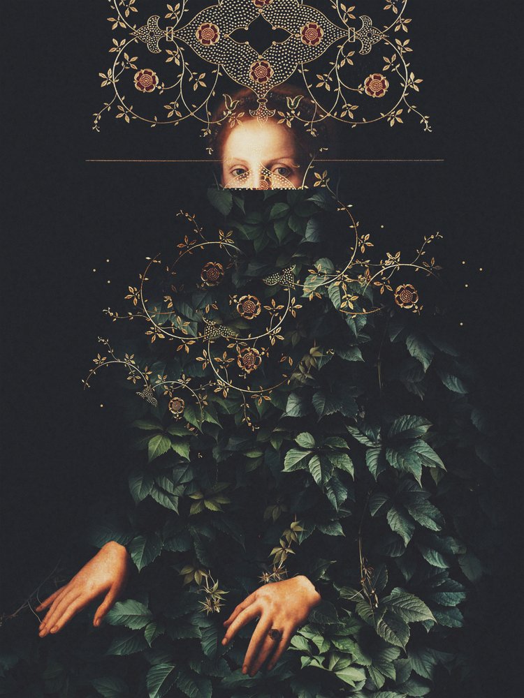  de Frank Moth