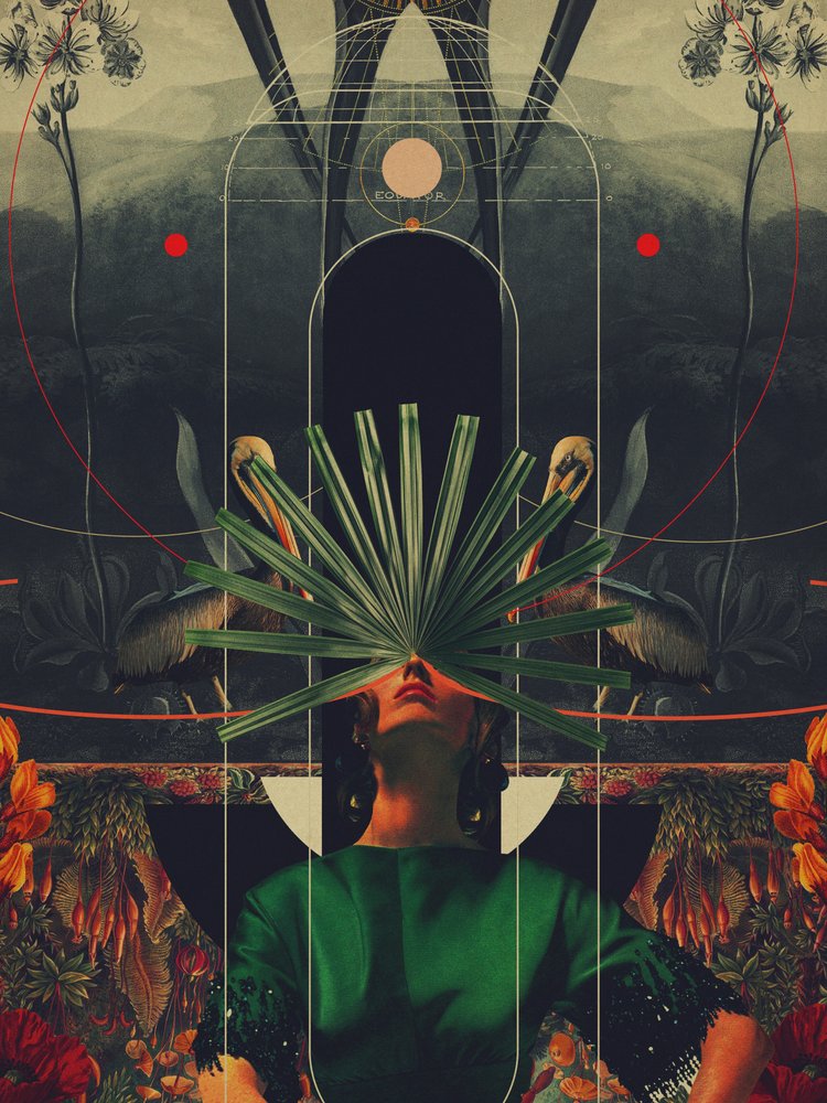  de Frank Moth