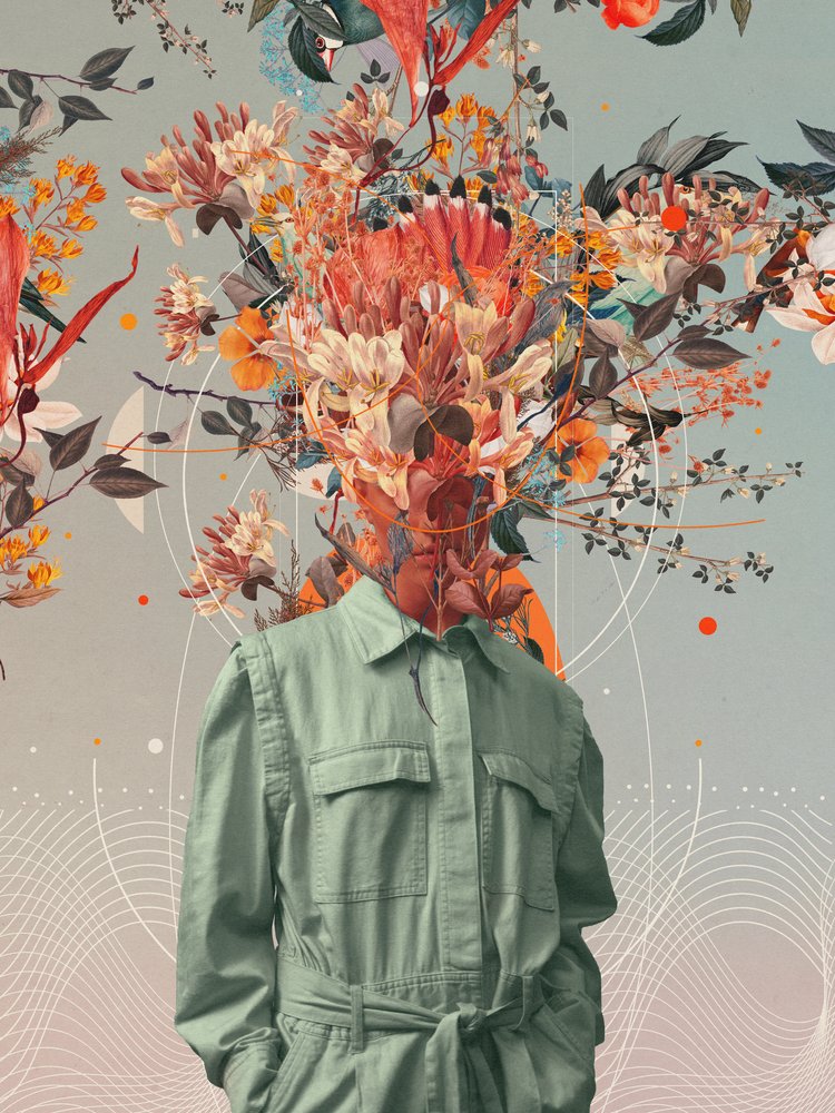  de Frank Moth
