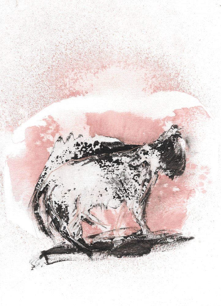  de Frederic Belaubre