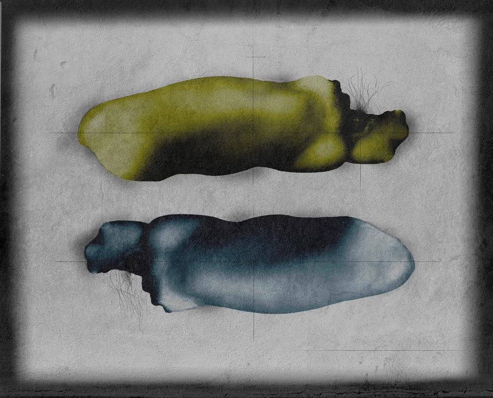 Formas abstratas orgânicas de Fuyuki Hattori