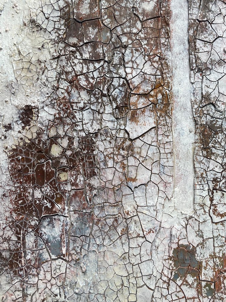  de Gabriela Aleksandra Szuba