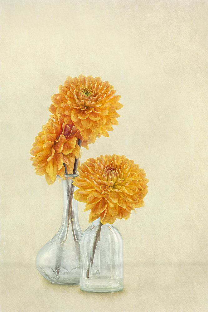  de Gaille Gray