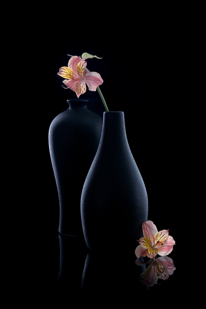 Alstroemérias elegantes em vasos de GaoSL