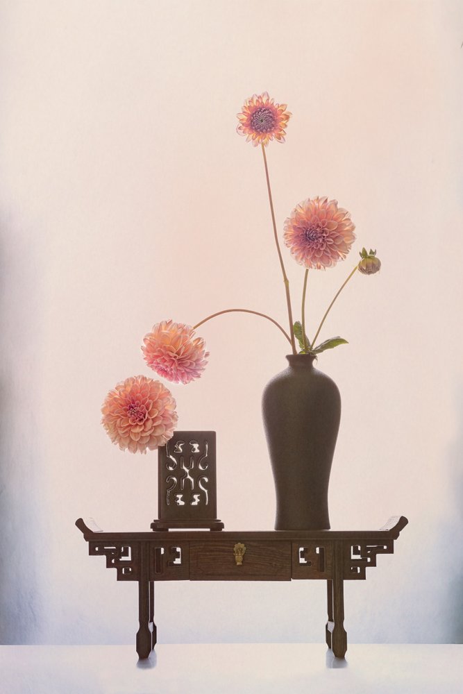 Exposição elegante de dálias de GaoSL