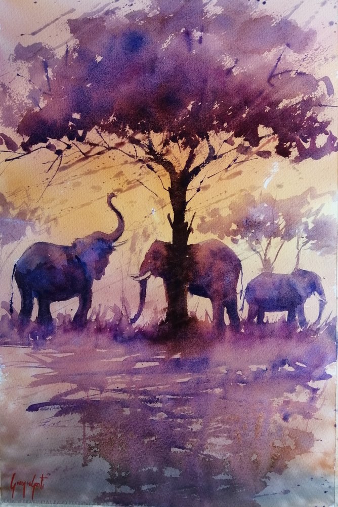 Elefantes africanos ao pôr-do-sol roxo de Giorgio Gosti