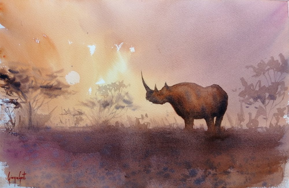 Pôr-do-sol com rinocerontes africanos de Giorgio Gosti