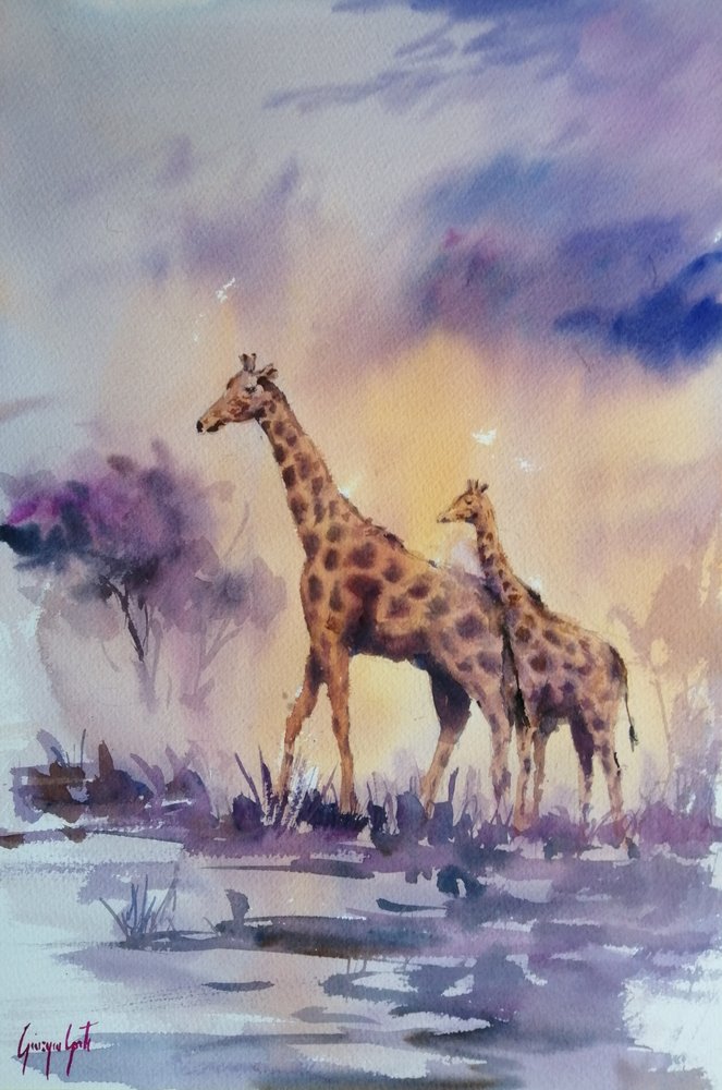 Girafas ao pôr-do-sol africano de Giorgio Gosti