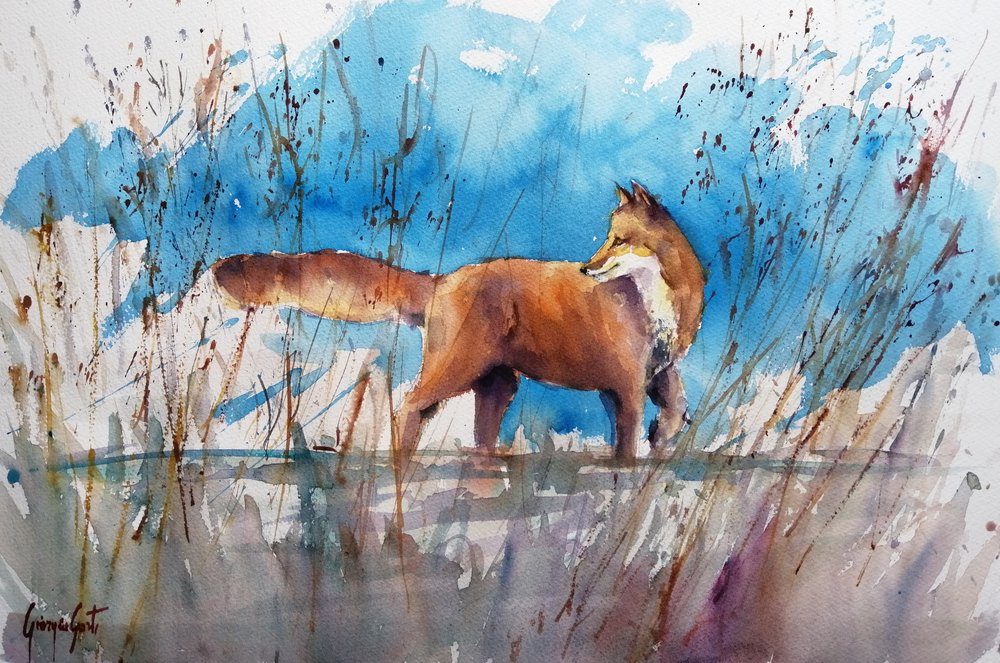 Alert Fox em Reeds de Giorgio Gosti