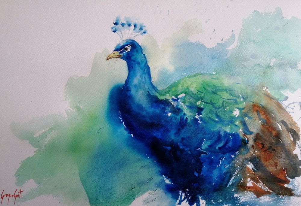 Elegante Pavão Azul de Giorgio Gosti