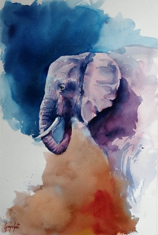 Resumo: Cores do Elefante de Giorgio Gosti