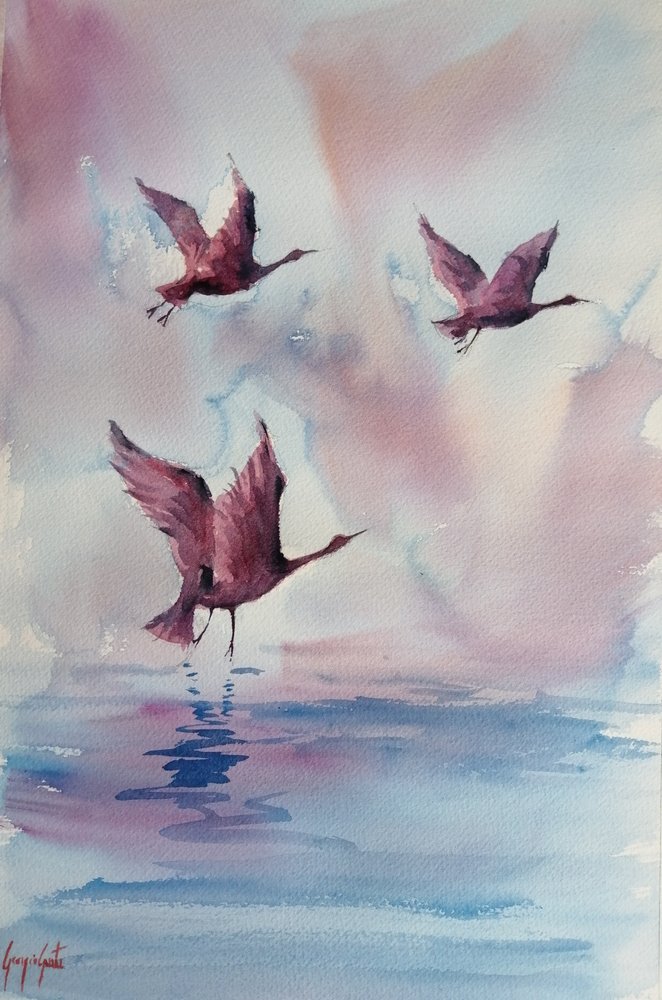 Graciosas aves cor-de-rosa de Giorgio Gosti
