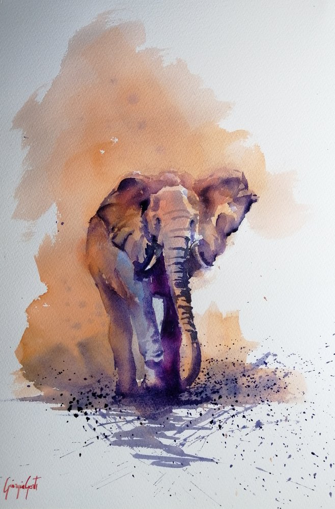 O majestoso elefante africano de Giorgio Gosti